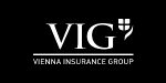 Viena insurance Group